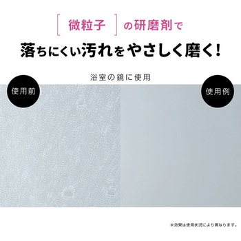 業務用スカッと浴室クレンザー アイメディア