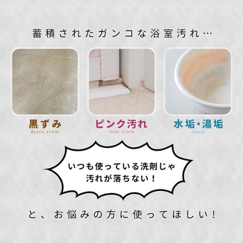 業務用スカッと浴室クレンザー アイメディア