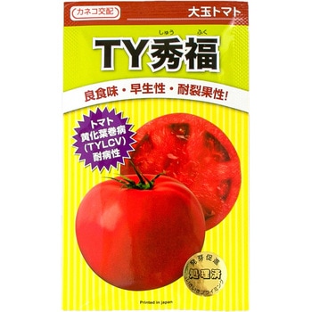 TY秀福 (トマト) カネコ種苗