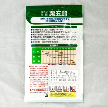 栗五郎 (カボチャ) カネコ種苗