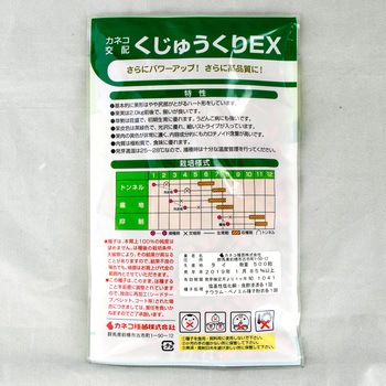 くじゅうくりEX (カボチャ) カネコ種苗