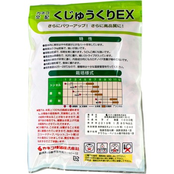くじゅうくりEX (カボチャ) カネコ種苗