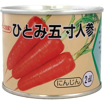 ひとみ五寸 (人参) カネコ種苗