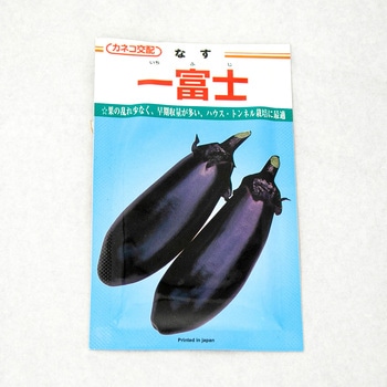 一富士 (ナス) カネコ種苗