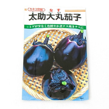 太助大丸茄子 (ナス) カネコ種苗