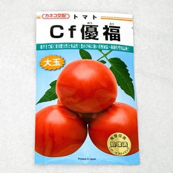 CF優福 (トマト) カネコ種苗