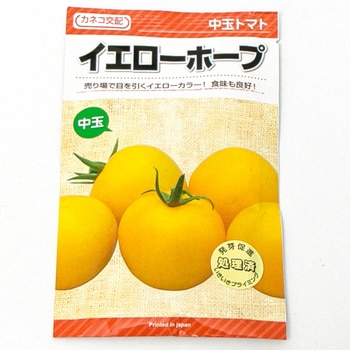 イエローホープ (トマト) カネコ種苗