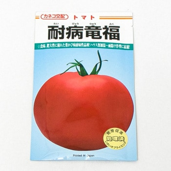 耐病竜福 (トマト) カネコ種苗