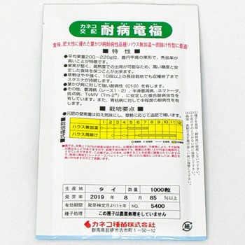 耐病竜福 (トマト) カネコ種苗