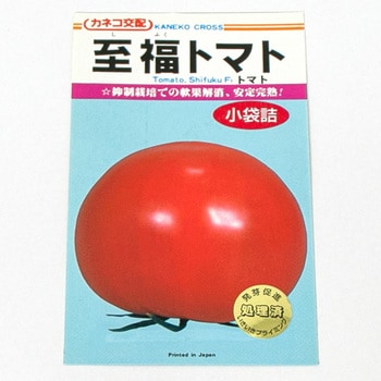 至福トマト (トマト) カネコ種苗