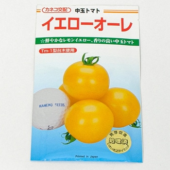 イエローオーレ (トマト) カネコ種苗