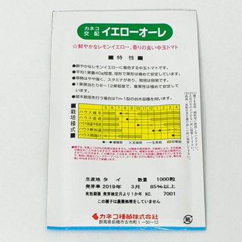イエローオーレ (トマト) カネコ種苗
