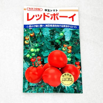 レッドボーイ (トマト) 1個(1000粒) カネコ種苗 【通販モノタロウ】