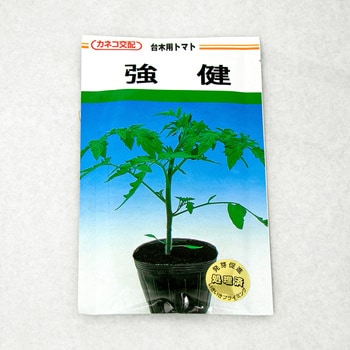 強健 台木用トマト カネコ種苗 野菜の種 通年 通販モノタロウ