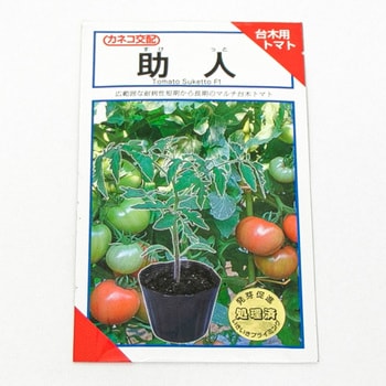 助人 台木用トマト カネコ種苗 野菜の種 通年 通販モノタロウ