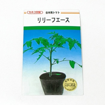 リリーフエース (台木用トマト) カネコ種苗