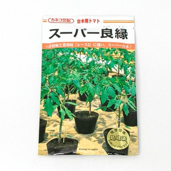 スーパー良縁 (台木用トマト) カネコ種苗
