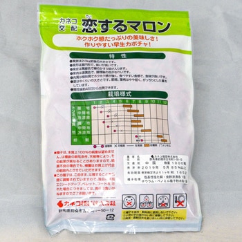 恋するマロン (カボチャ) カネコ種苗