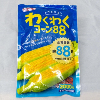 わくわくコーン88 (トウモロコシ) カネコ種苗