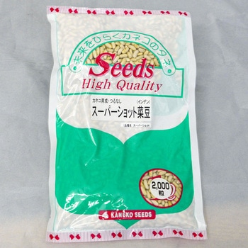 スーパーショット菜豆 (インゲン) カネコ種苗