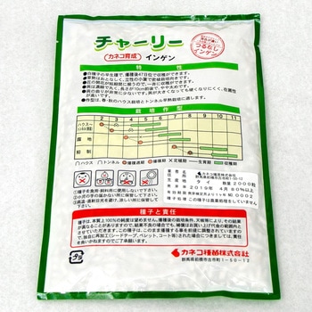 チャーリー (インゲン) カネコ種苗