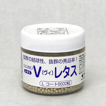 V(ヴィ)レタス (レタス) - カネコ種苗
