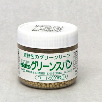 グリーンスパン (レタス) カネコ種苗