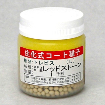 レッドストーン (トレビス) カネコ種苗