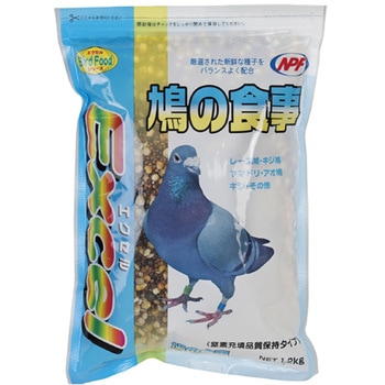 1621 GNZ ̐H NPF 52144114