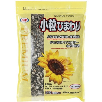小粒ひまわり NPF