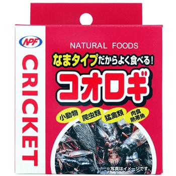 NPF コオロギ缶 NPF