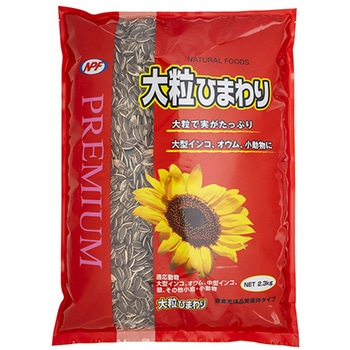プレミアム 大粒ひまわり NPF