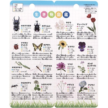 むしめがね クツワ