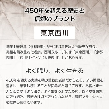 Af Br 布団 3点セット 抗菌防臭加工 シングル 1セット 東京西川 通販サイトmonotaro