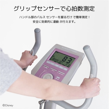 DSY6219MC エアロマグネティックバイク ディズニーデザイン 1台