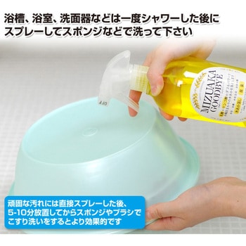 乳酸クリーナー 水あかグッバイ アーネスト