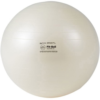 フィットボール65   BRQ(破裂防止品質) - DANNO(ダンノ)