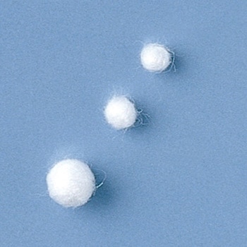 脱脂綿 トラボル 竹虎