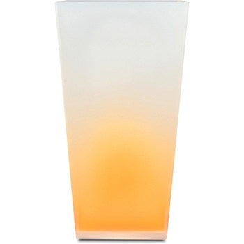 - �_�X�g�{�b�N�X �J�N�e�� ���{�B�V���H�| 52269413