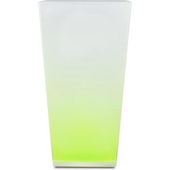 - �_�X�g�{�b�N�X �J�N�e�� ���{�B�V���H�| 52269429