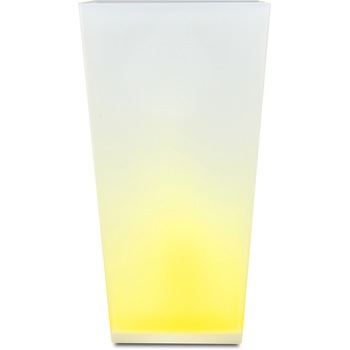 - �_�X�g�{�b�N�X �J�N�e�� ���{�B�V���H�| 52269438