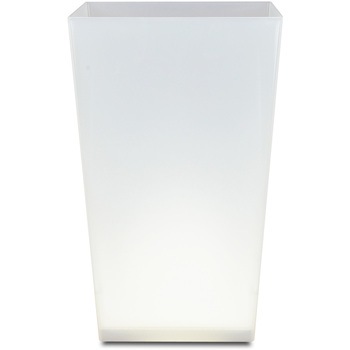 - �_�X�g�{�b�N�X �J�N�e�� ���{�B�V���H�| 52269447