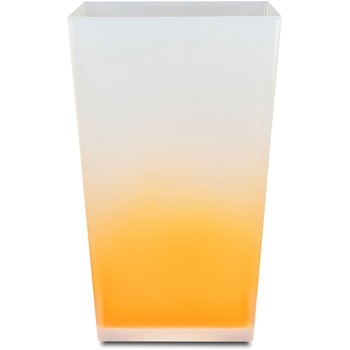 - �_�X�g�{�b�N�X �J�N�e�� ���{�B�V���H�| 52269465