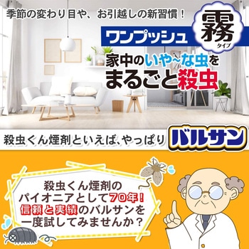 バルサン ワンプッシュ霧タイプ バルサン