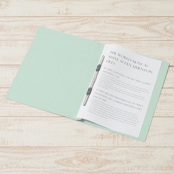 エコノミー フラットファイル 3冊パック PLUS(プラス)[文具]