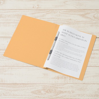 エコノミー フラットファイル 3冊パック PLUS(プラス)[文具]
