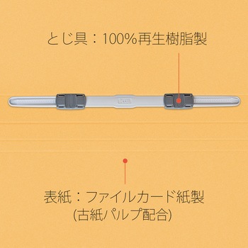 エコノミー フラットファイル 3冊パック PLUS(プラス)[文具]