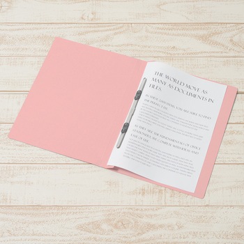 エコノミー フラットファイル 3冊パック PLUS(プラス)[文具]