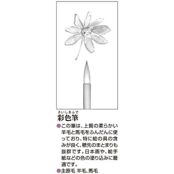 彩色筆 あかしや