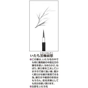 いたち黒軸面想 あかしや